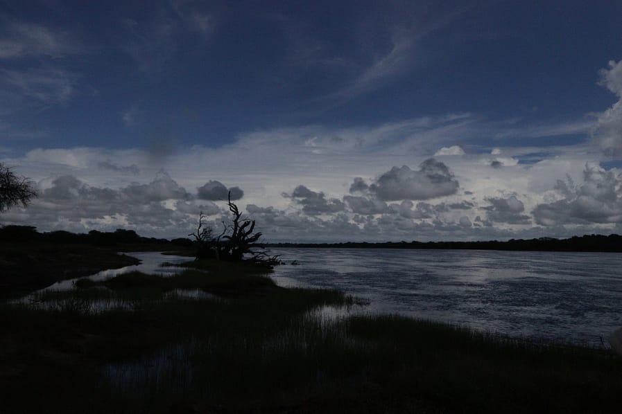 Chobe River